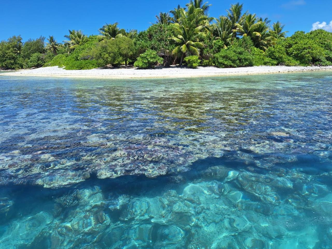 Апартаменти Penu Maurua Te-Fare-Arii Номер фото